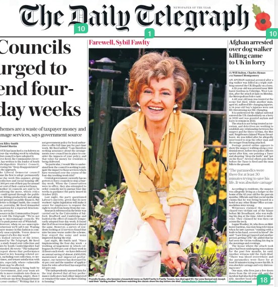 Daily Telegraph 29.10.2025